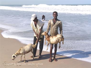 Gambia 02 Der Strand,_DSC01699b_B740